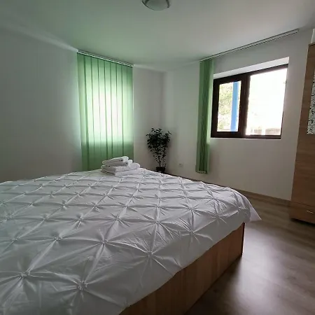 Casa Nichifor Дом отдыха *