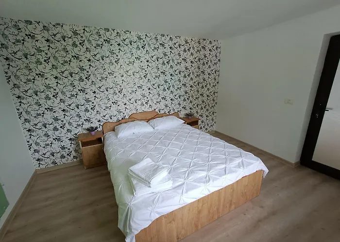 Casa Nichifor Ferienhaus Jurilovca